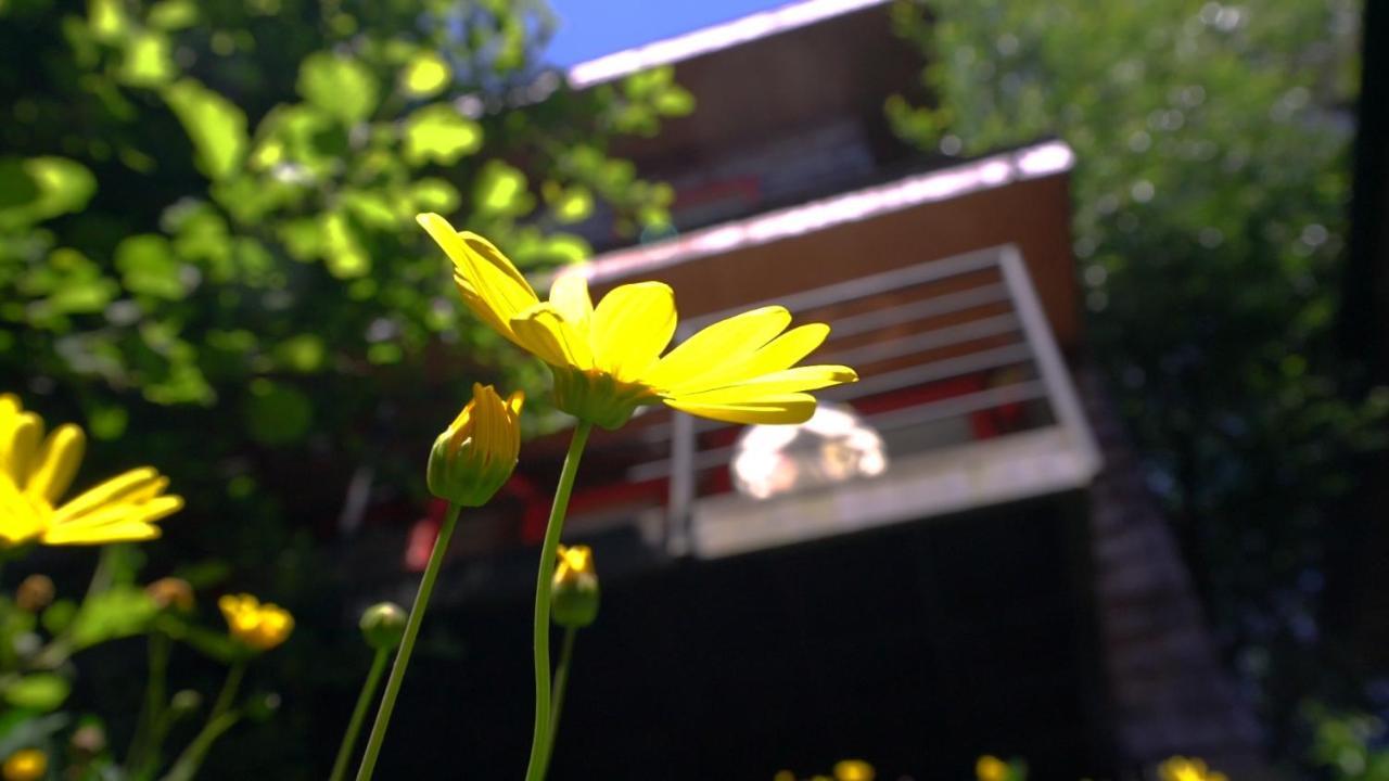 Almabosque Cabanas ปูแอร์โตบารัส ภายนอก รูปภาพ