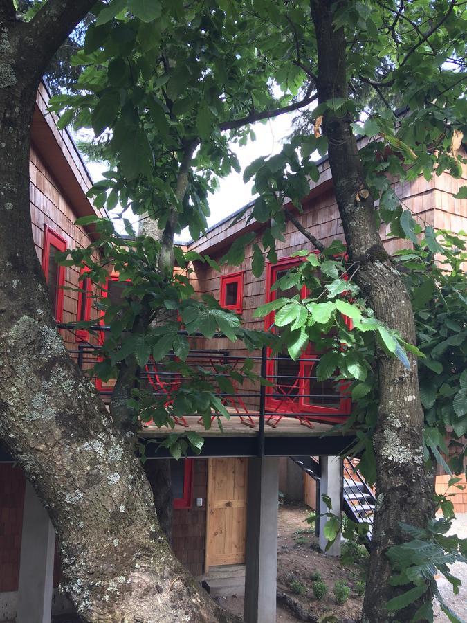 Almabosque Cabanas ปูแอร์โตบารัส ภายนอก รูปภาพ